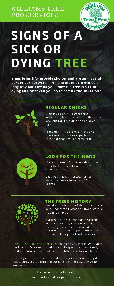 Signs of a dying tree